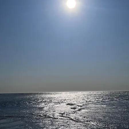 Appt Lumineux - 2 - Et Commerces