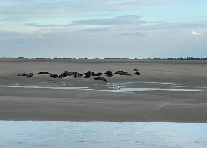 Appt Lumineux - 2 - Et Commerces * Berck