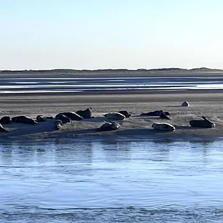 Appt Lumineux - 2 - Et Commerces Berck