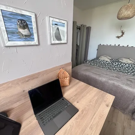 Appt Lumineux - 2 - Et Commerces Appartement