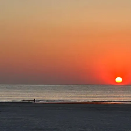 Appt Lumineux - 2 - Et Commerces