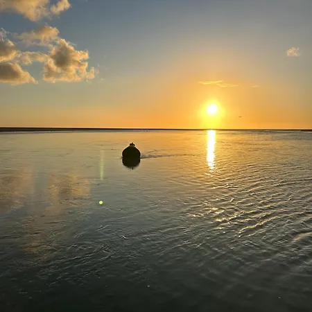 Appt Lumineux - 2 - Et Commerces *