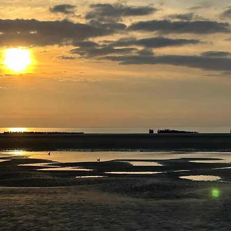 Appt Lumineux - 2 - Et Commerces