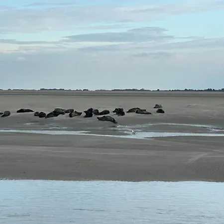 Appt Lumineux - 2 - Et Commerces * Berck